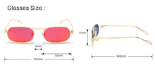 Load image into Gallery viewer, NEW Oval gold rimmed sunglasses
